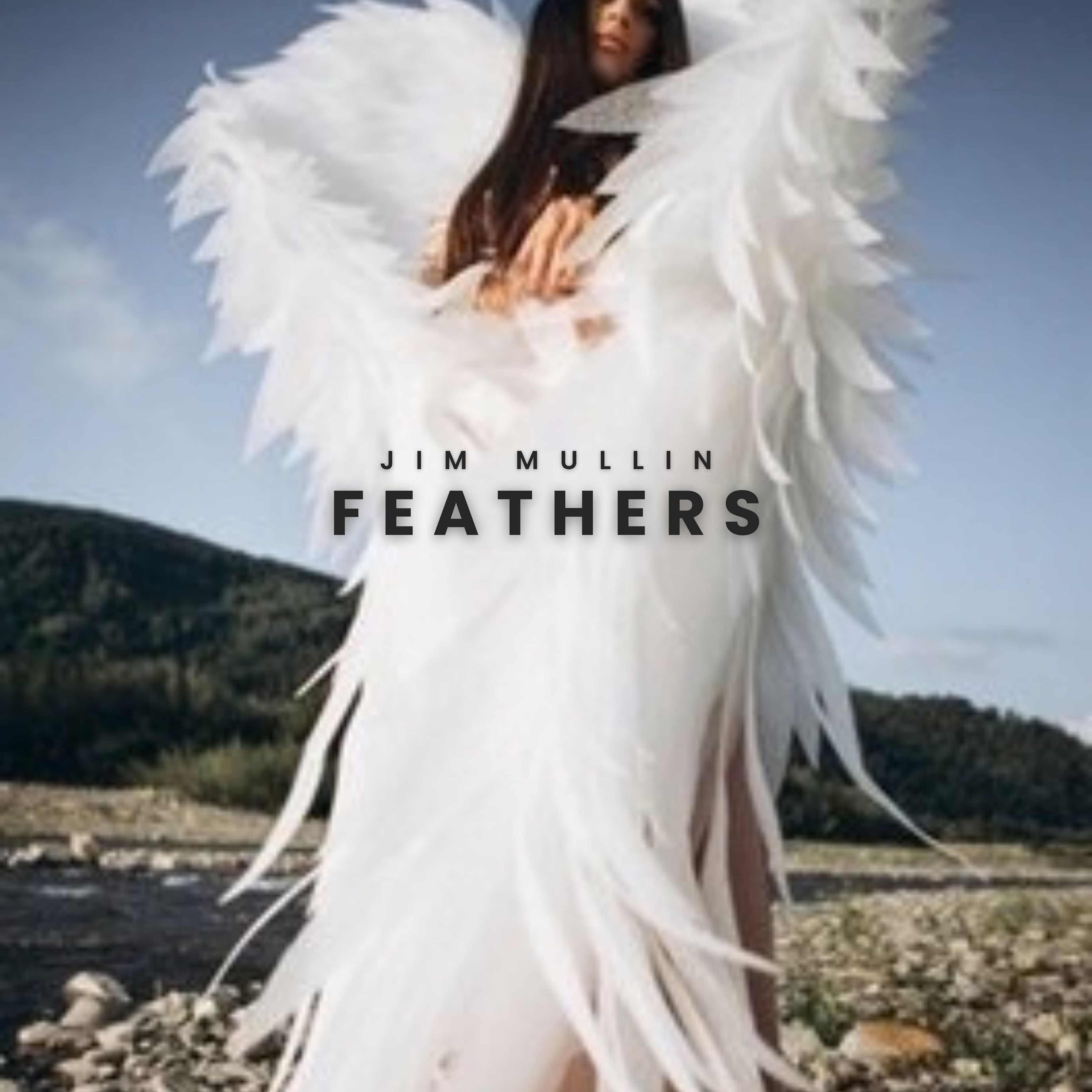 Feathers